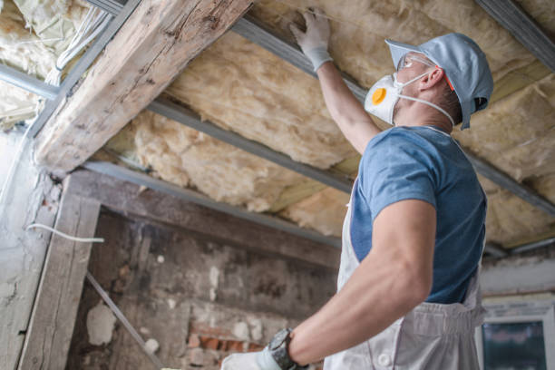 Best Insulation for New Construction  in Seaford, DE