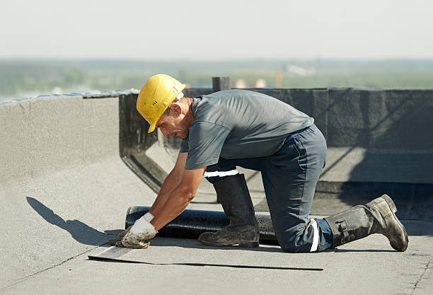 Best Insulation Repair Services  in Seaford, DE